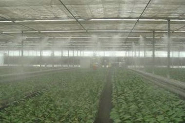 現(xiàn)代農業(yè)種植對于工業(yè)加濕器的使用